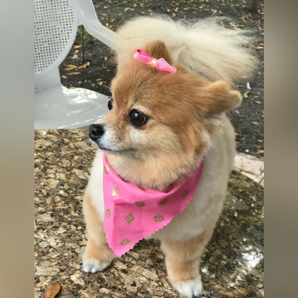 Meet your Posher! 🙋🏻♀️ - Picture 11 of 11